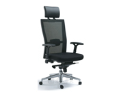 Mesh Executive Chair CG-06001B-2P5