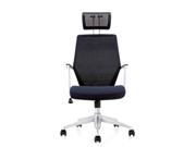 Mesh Executive Chair CG-A26