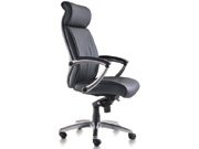 Modern Leather Executive Chair CG-BJ024-H