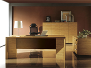 Fashion Executive Desk