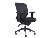 Mesh Medium Back Chair