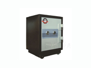 Steel Safe Cabinet CG-MC04