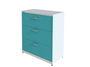 Steel Filing Cabinet CG-SE-4D1357