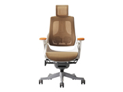 Mesh Executive Chair CG-WAU-01H