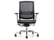 Mesh Medium Back Chair