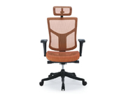 Mesh Executive Chair cg-sts-M01