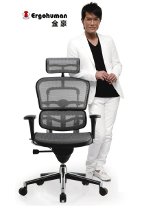 Ergohuman Series Office Chair CG-Ergohuman